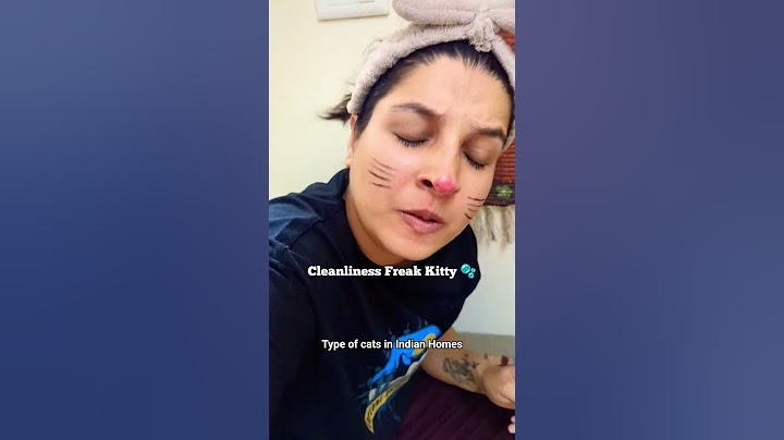 Apke ghar me konsi kitty hai?