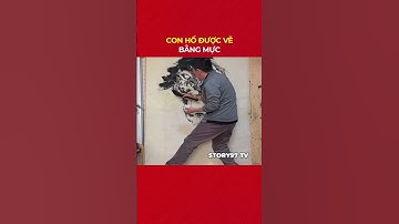 Con hổ được anh nghệ sĩ phát hoạ bằng mực lên bức tranh to #story97tv