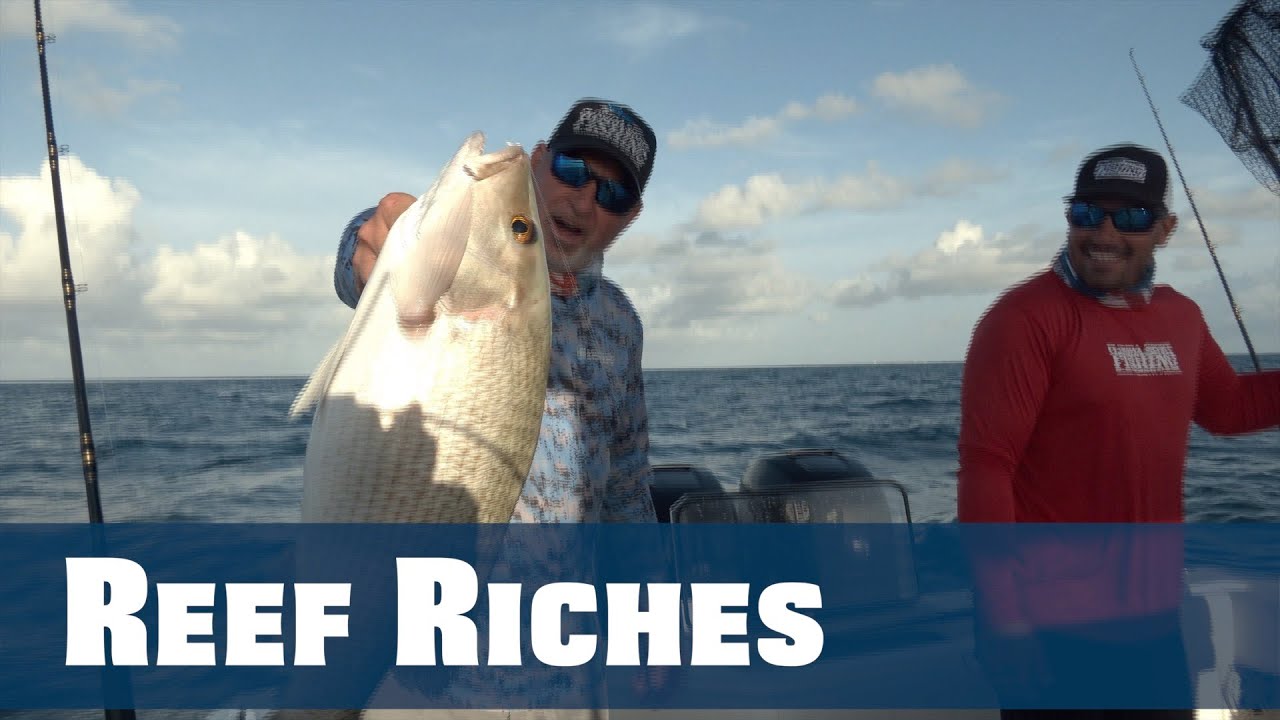 Monster Mangrove Snapper - Florida Sport Fishing TV - Reef Fishing Florida  Keys Tips & Tricks 