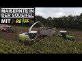 Maisernte mit J-Reiff | Claas Jaguar 950 // 2x Fendt 900 Vario // Deutz-Fahr 6.81 | Südeifel 2023