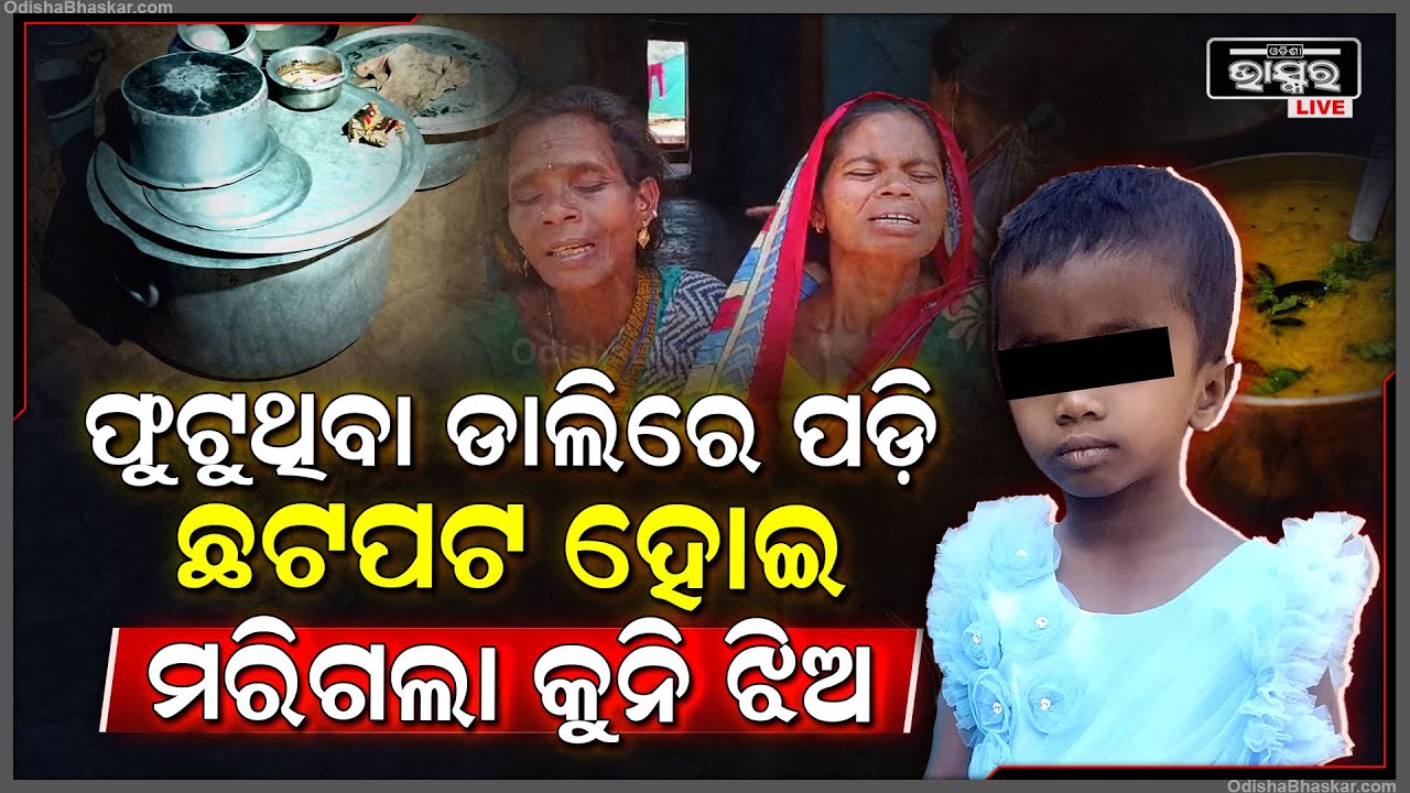 ଯେଉଁ ଡାଲିକୁ ଖାଇଥାନ୍ତା ସେହି ଡାଲି ପାଇଁ ଚାଲିଗଲା କୁନି ଝିଅ, କେହି କିଛି ଭାବିବା ଆଗରୁ ଘଟିଗଲା ଏପରି କିଛି