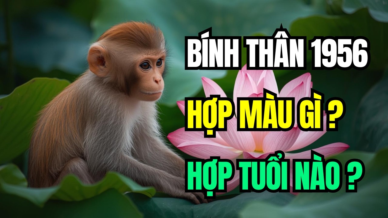 Tuổi Bính Thân 1956, Hợp Màu Nào? Kỵ Màu Nào? Hợp Tuổi Nào? Kỵ Tuổi Nào? Theo Tam Hợp Tứ Hành Xung