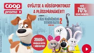 coop baden baden coop baden baden