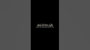 ومن الناس من يتخذ من دون الله اندادا _ كرومات شاشة سوداء القران الكريم _ القارئ ياسر الدوسري