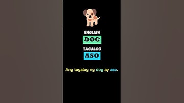 Dog - Aso 🐕 | English Tagalog #translation