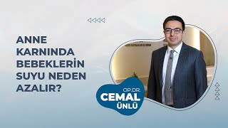 Anne Karnında Bebeklerin Suyu Neden Azalır?