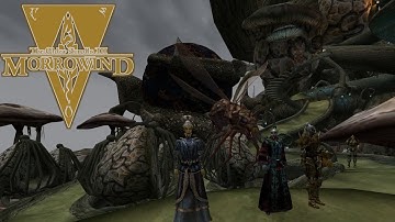 What Do You Want Me To Tell Vanni? - Morrowind OpenMW VR Permadeath (Tamriel Rebuilt) Gameplay