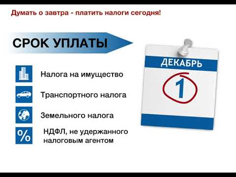 1 декабря - Срок уплаты имущественных налогов физическими лицами в 2021 году