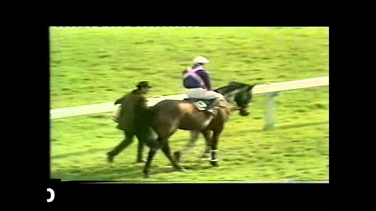 1981 Cheltenham Gold Cup Extended footage