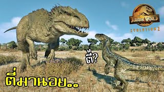 เมื่อ Velociraptor ชวน Indominus Rex เข้าตี้ | Jurassic World Evolution 2