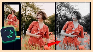 Selective Color or Color Isolation Effect | Alight Motion Tutorial