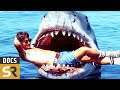How Jaws Changed The World