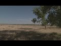 Sand Creek Massacre victims remembered 158 years later