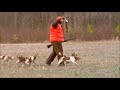 Rabbit hunting with Dogs  Down East Tri City Beagle Boyz