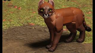 cougar pics wcue