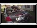 Theft Suspect Resists And Flees (David Readdean) | Body Cam & Dash Cam | United States | 20190311