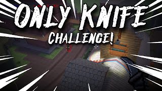 ONLY KNIFE CHALLENGE?! - Pixel Gun 3D