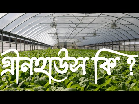 ভিডিও: উদ্যানপালকদের প্রশ্ন: 