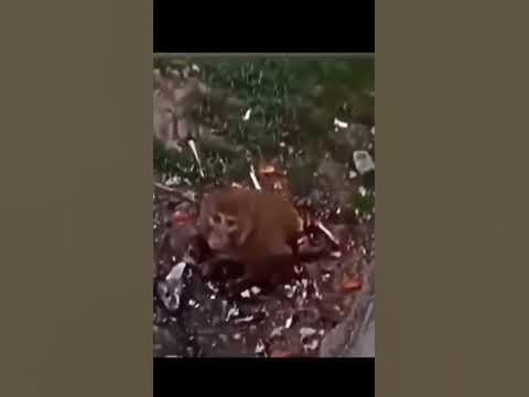 бригаду? - YouTube