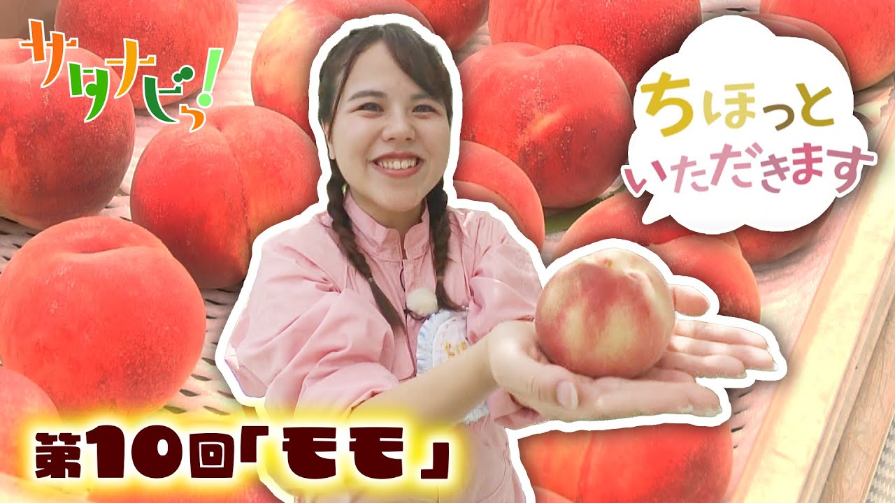 Happy Storyシリーズ デザインキッチン 全10種 メガハウス☆デザインキッチン【レトロなミニチュア家具