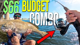 Penn Pursuit IV Review | Best Budget Combo Ever?