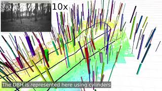 Towards Real-Time Forest Inventory using Handheld LiDAR Net Worth