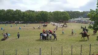 Final Fiestas Patrias Saladillo