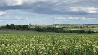 Aussichtspunkt Niederlausitzer Heidelandschaft
