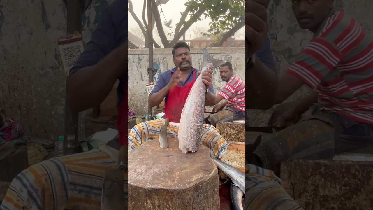 #speedselvamfastcutting