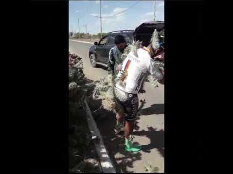 Cyclist loses control of his bike and lands on cactus then this happens