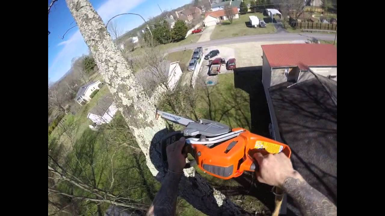 Brandon Roping out a huge limb over a house. - YouTube