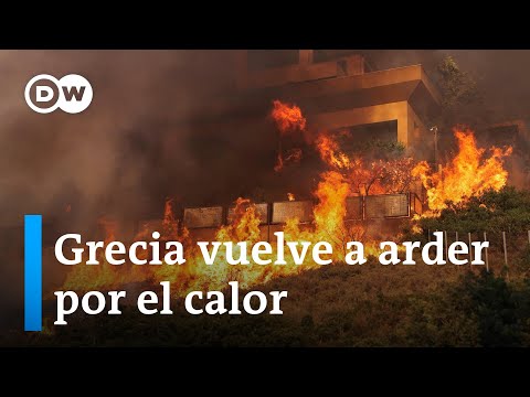 Video: ¿Qué tan caliente es un incendio forestal?