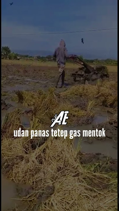 Story wa G1000 kubota 1T