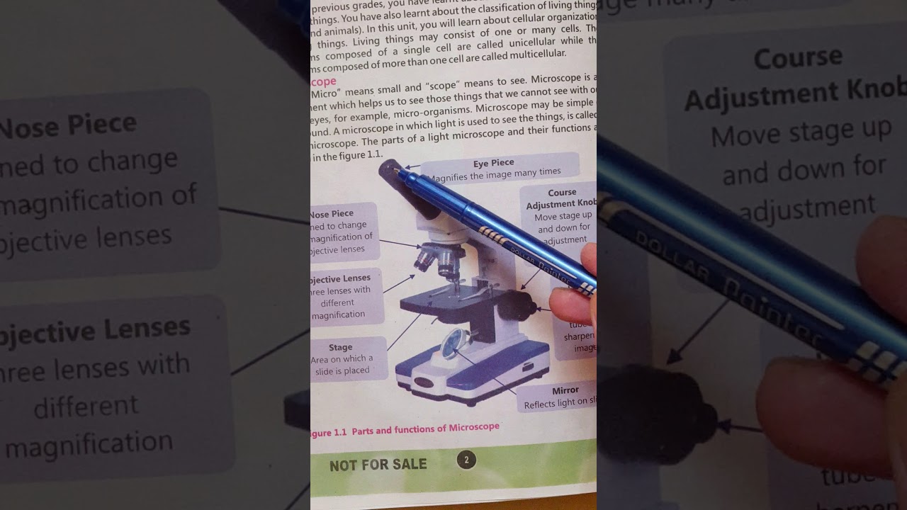 Microscope parts and functions - YouTube