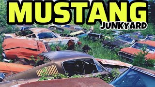 Exclusive Inside Look At A Classic Mustang Junkyard ￼