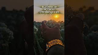 Quality Do Brand Bano.