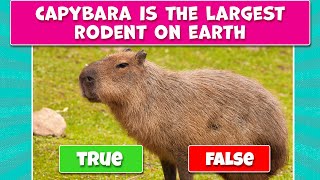 TRUE or FALSE Quiz - True or False Animal Quiz - General Knowledge Trivia Questions | PARTY GAMES