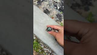Tactical hiking stick with built in survival tools! 🤯 #tiktokshopsummerturnup ##hikingstick