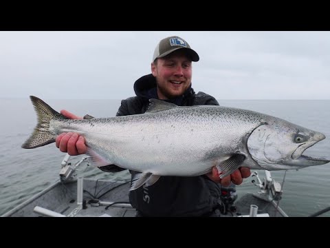 Trolling for SALMON on Lake Michigan // Spring Salmon Fishing in Michigan 