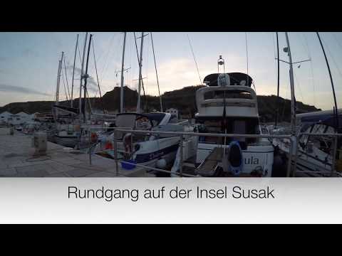 Video: Susak (Pflanze) - Nützliche Eigenschaften Und Verwendungen Des Susak. Susak Regenschirm