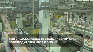 Белгородская область стала лидером среди производителей мяса в стране