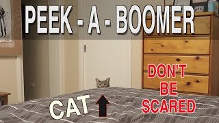 PEEK-A-BOOMER by CATMANTOO 18,116 views 6 years ago 36 seconds