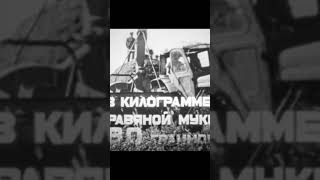 Производство гранулированного корма и витаминной травяной муки, 1973 год