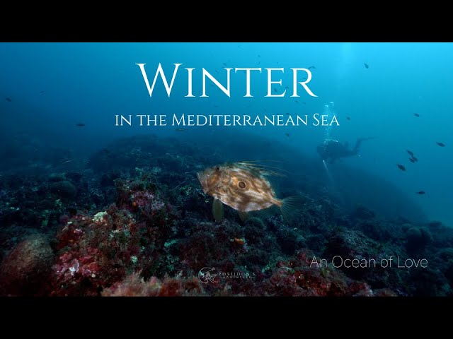 Winter in the Mediterranean Sea 