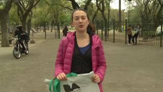 Cómo son las bolsas reutilizables para ir al super en la Ciudad