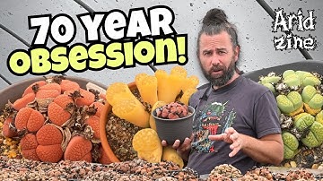 Inside a legendary Lithops collection: care, colours and cultivars