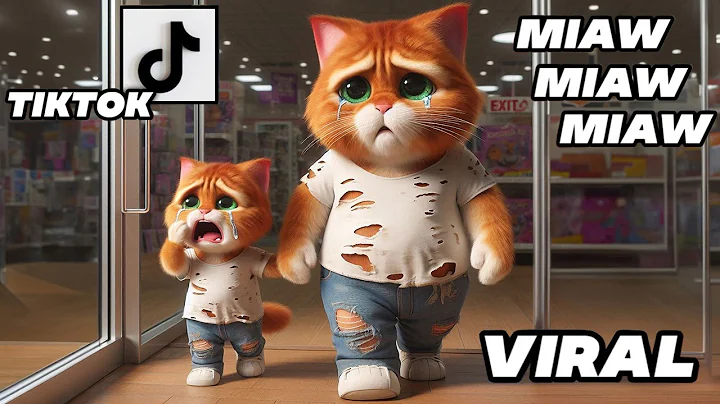 Poor father's last gift to his Kitten - A Very Sad Cat Story Miaw Miaw Miaw Miaw Sad Song Cat Visual