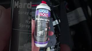 Zabezpiecz swoj samochod przed atakiem kun