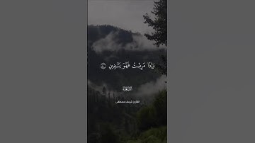 القارئ شريف مصطفى/سورة الشعراء