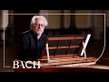 Bach  ricercar a 3 from the musical offering bwv 1079  netherlands bach society